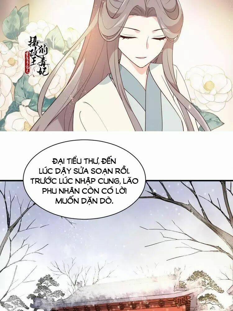 Trùng Sinh Chuyên Sủng Độc Phi Của Nhiếp Chính Vương 48 trang 3