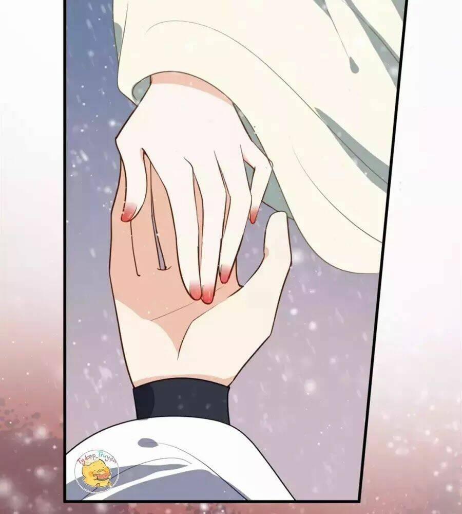 Trùng Sinh Chuyên Sủng Độc Phi Của Nhiếp Chính Vương 49 trang 4