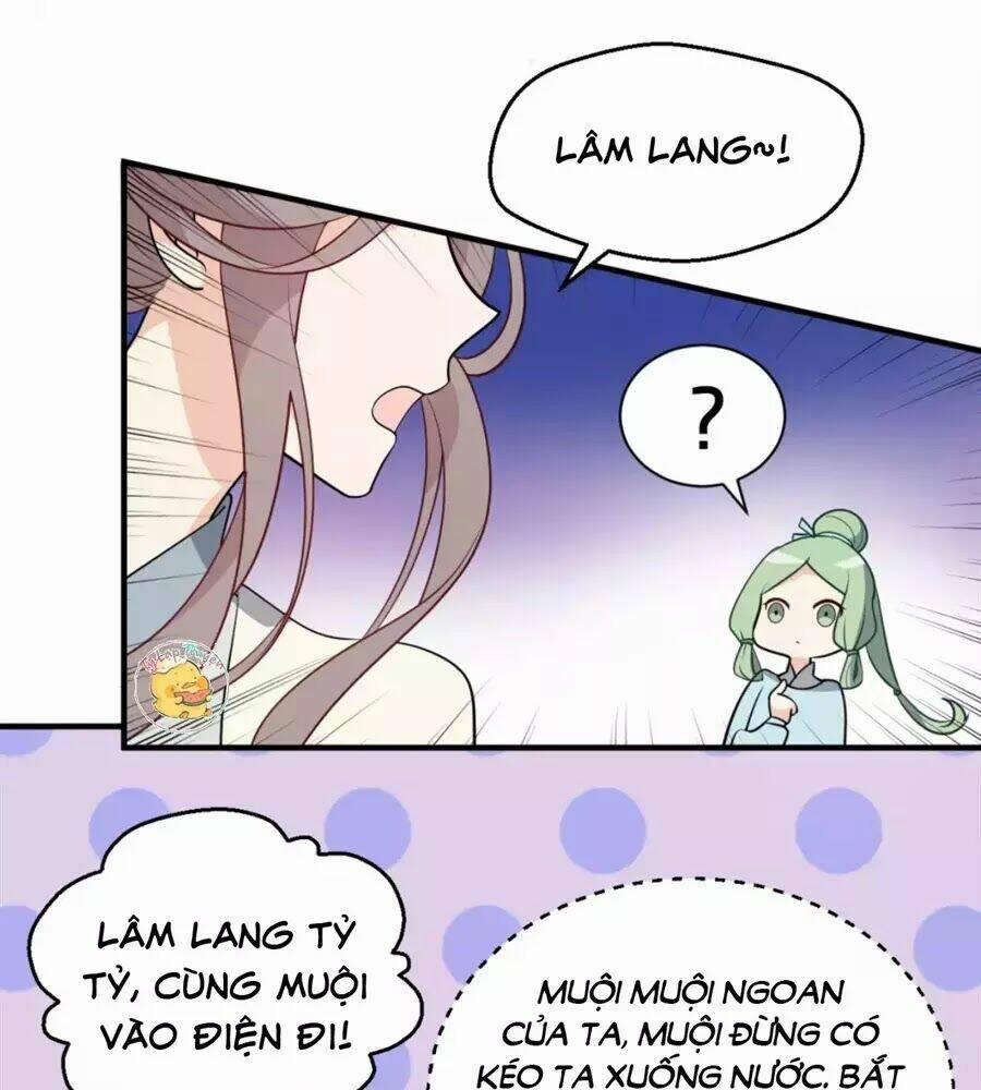 Trùng Sinh Chuyên Sủng Độc Phi Của Nhiếp Chính Vương 50 trang 12