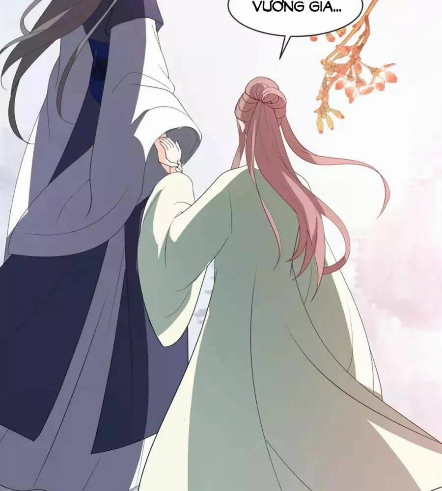 Trùng Sinh Chuyên Sủng Độc Phi Của Nhiếp Chính Vương 50 trang 5