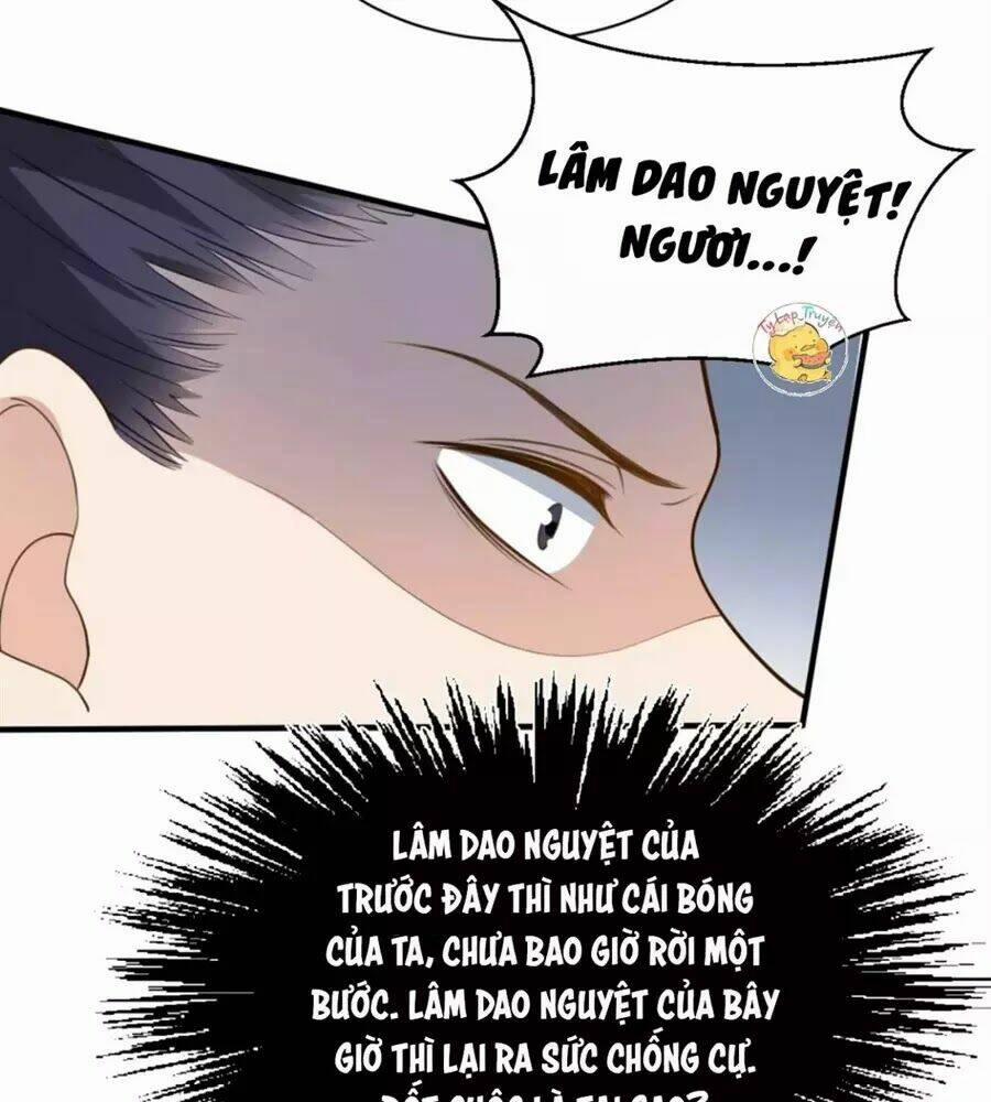 Trùng Sinh Chuyên Sủng Độc Phi Của Nhiếp Chính Vương 51 trang 29