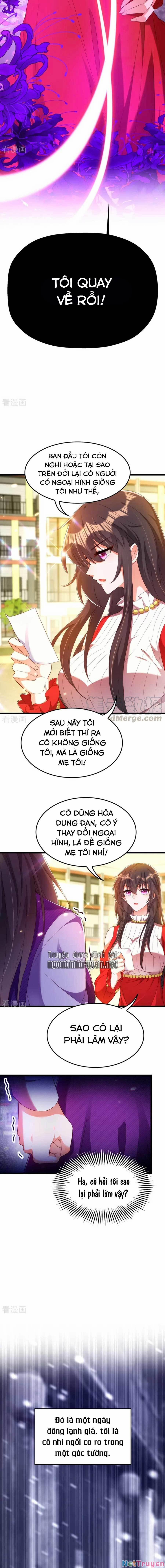 Trùng Sinh Không Gian: Cô Vợ Hào Môn Nóng Bỏng Không Dễ Chọc 185 trang 4