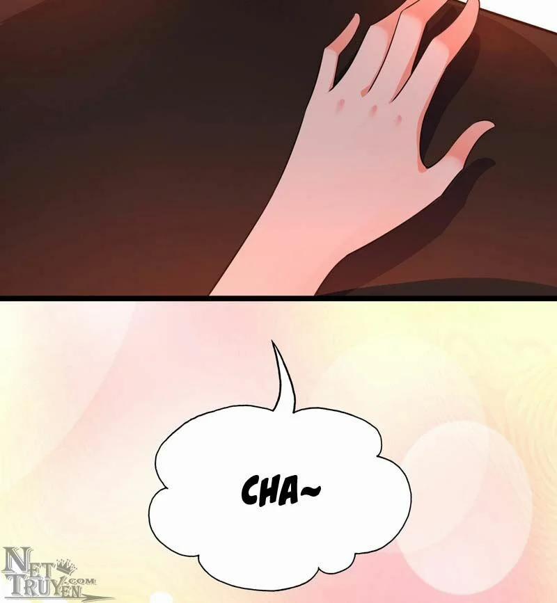 Trùng Sinh Không Gian: Cô Vợ Hào Môn Nóng Bỏng Không Dễ Chọc 19 trang 26