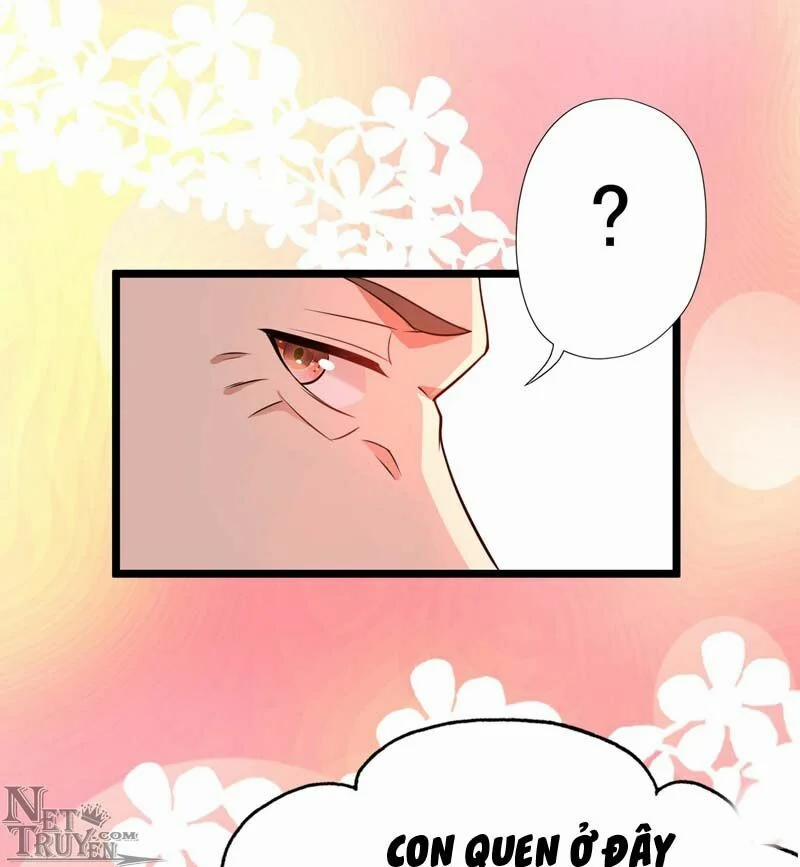 Trùng Sinh Không Gian: Cô Vợ Hào Môn Nóng Bỏng Không Dễ Chọc 19 trang 27