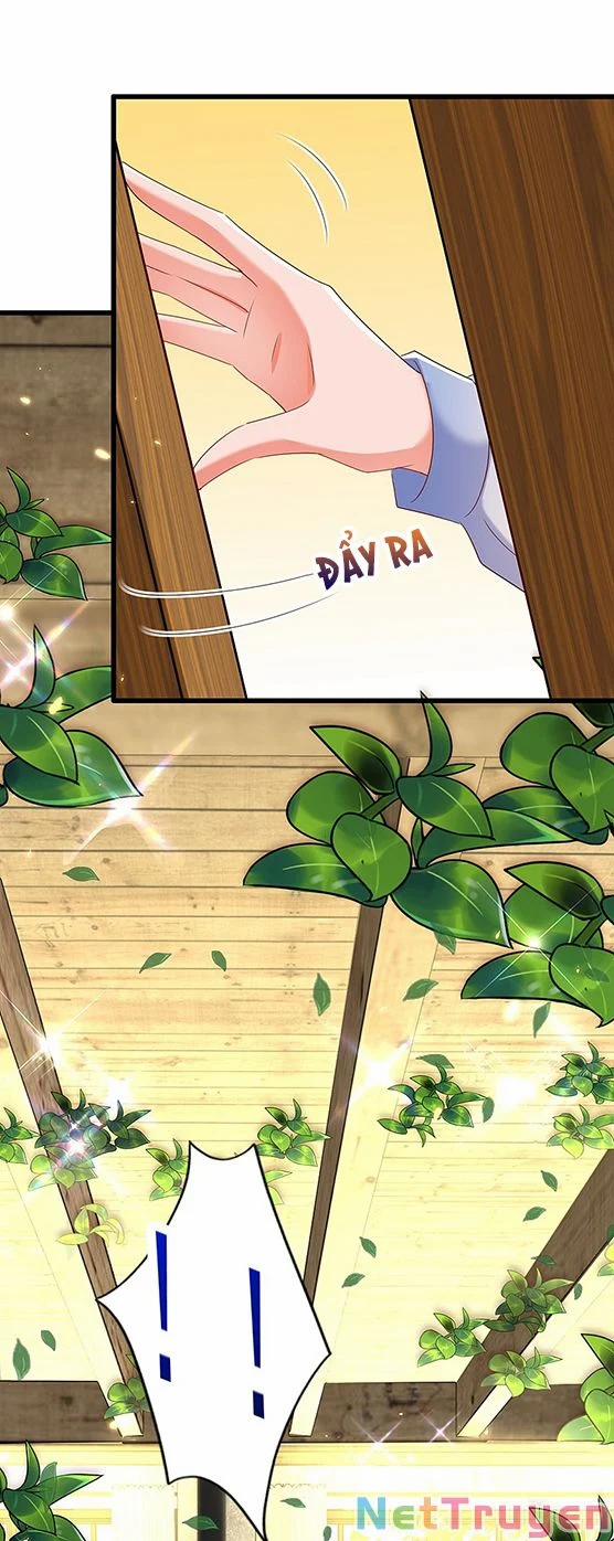 Trùng Sinh Không Gian: Cô Vợ Hào Môn Nóng Bỏng Không Dễ Chọc 209 trang 14