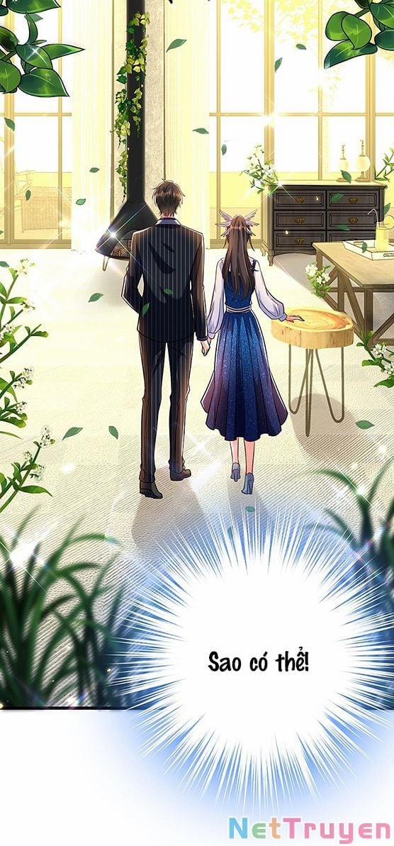 Trùng Sinh Không Gian: Cô Vợ Hào Môn Nóng Bỏng Không Dễ Chọc 209 trang 15