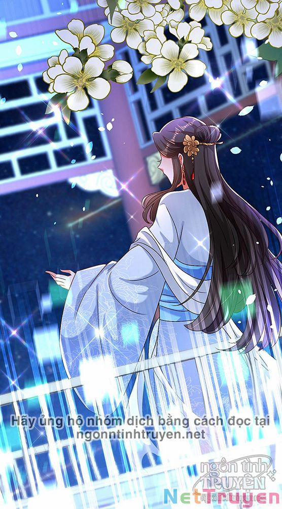 Trùng Sinh Không Gian: Cô Vợ Hào Môn Nóng Bỏng Không Dễ Chọc 223 trang 2