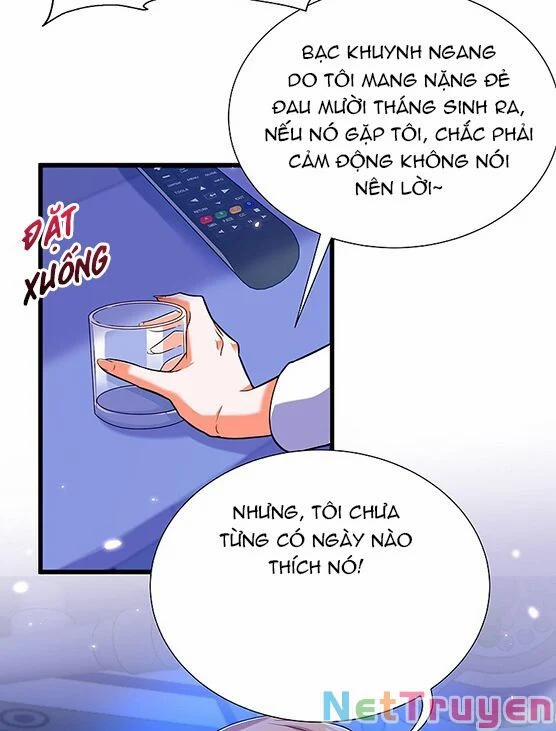 Trùng Sinh Không Gian: Cô Vợ Hào Môn Nóng Bỏng Không Dễ Chọc 227 trang 14