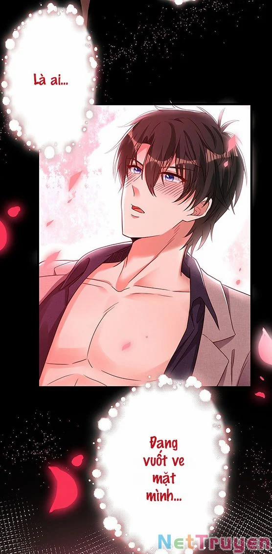 Trùng Sinh Không Gian: Cô Vợ Hào Môn Nóng Bỏng Không Dễ Chọc 230 trang 11