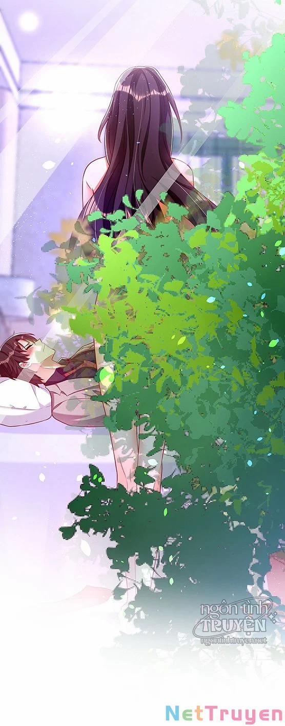 Trùng Sinh Không Gian: Cô Vợ Hào Môn Nóng Bỏng Không Dễ Chọc 230 trang 4