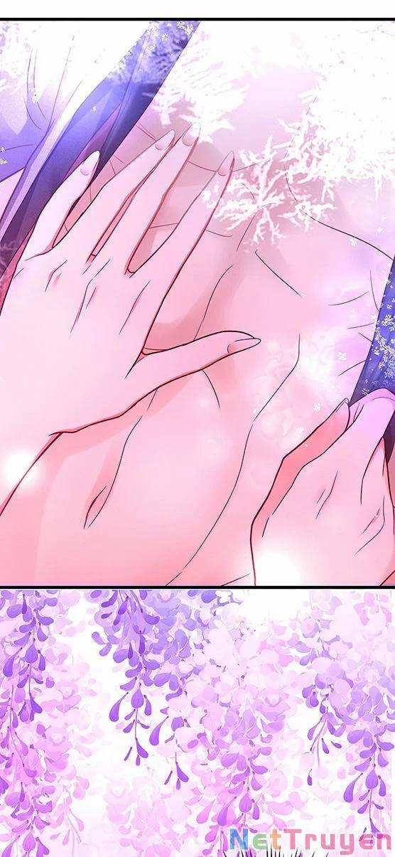 Trùng Sinh Không Gian: Cô Vợ Hào Môn Nóng Bỏng Không Dễ Chọc 230 trang 8