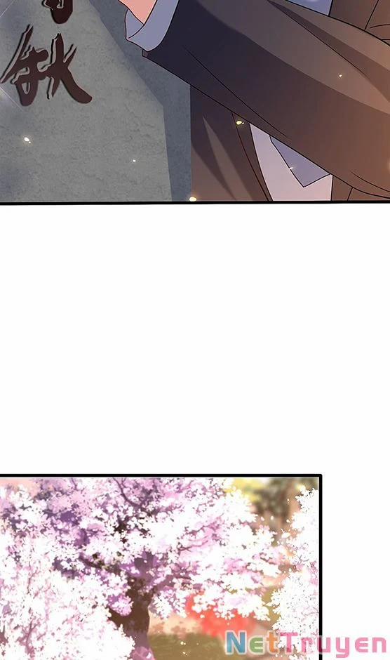 Trùng Sinh Không Gian: Cô Vợ Hào Môn Nóng Bỏng Không Dễ Chọc 235 trang 8