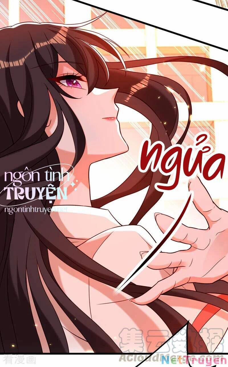 Trùng Sinh Không Gian: Cô Vợ Hào Môn Nóng Bỏng Không Dễ Chọc 243 trang 16