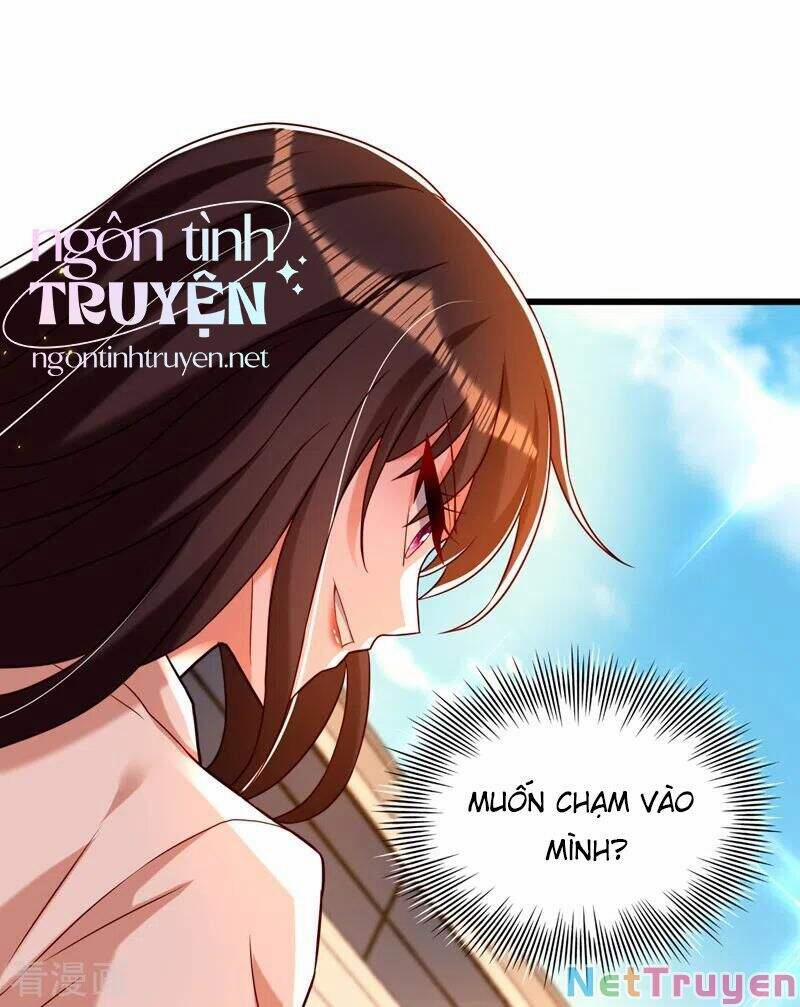 Trùng Sinh Không Gian: Cô Vợ Hào Môn Nóng Bỏng Không Dễ Chọc 243 trang 5