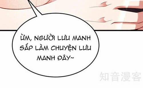 Trùng Sinh Không Gian: Cô Vợ Hào Môn Nóng Bỏng Không Dễ Chọc 256 trang 23