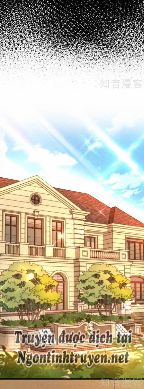 Trùng Sinh Không Gian: Cô Vợ Hào Môn Nóng Bỏng Không Dễ Chọc 256 trang 3