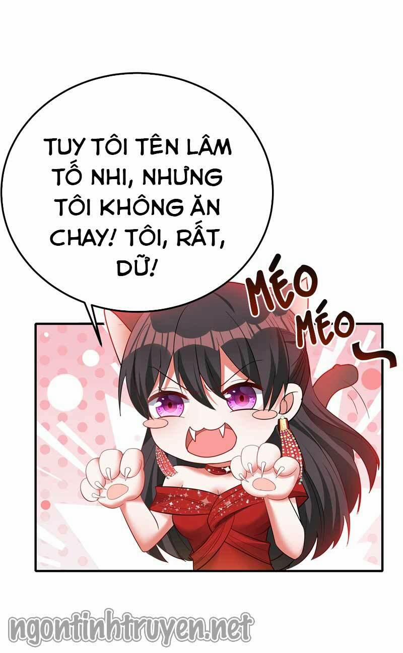 Trùng Sinh Không Gian: Cô Vợ Hào Môn Nóng Bỏng Không Dễ Chọc 29 trang 18