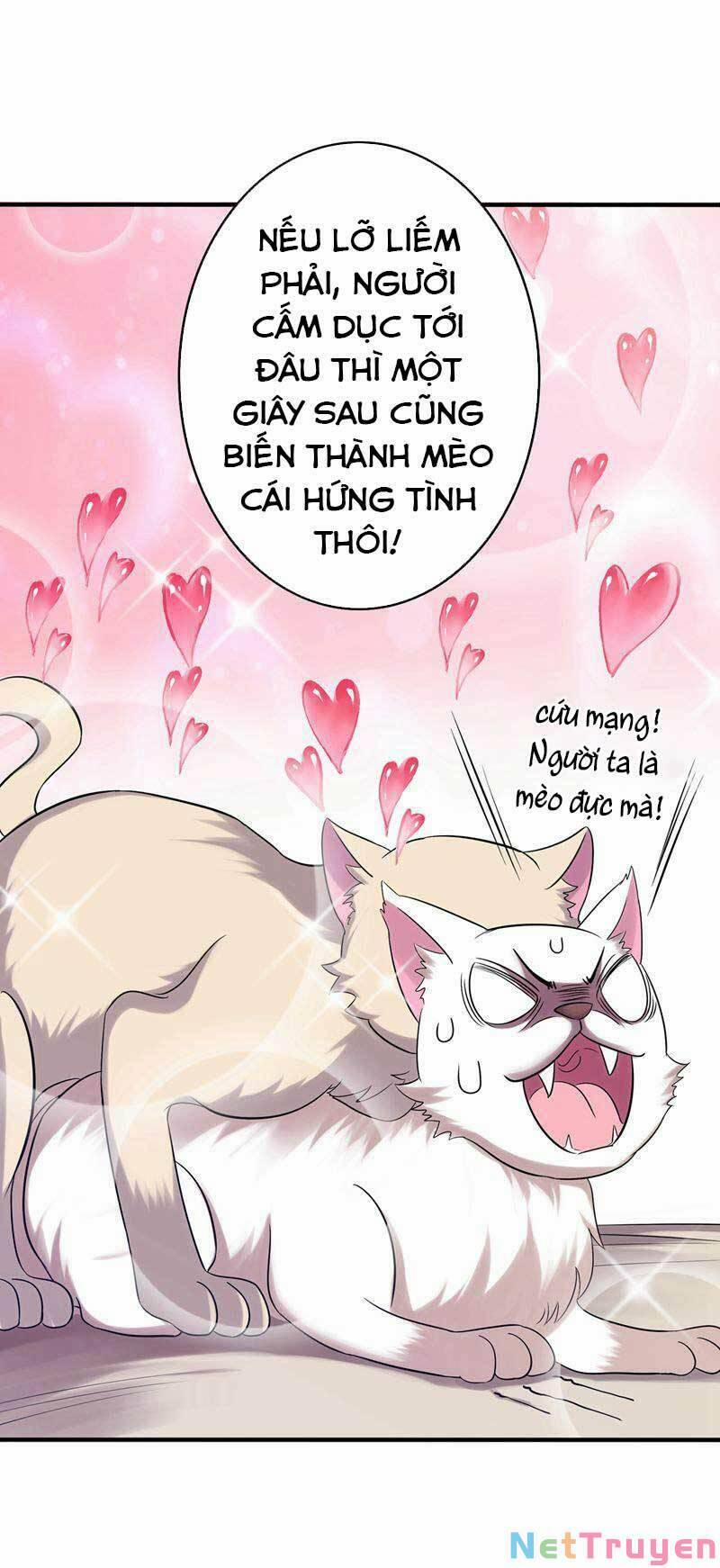 Trùng Sinh Không Gian: Cô Vợ Hào Môn Nóng Bỏng Không Dễ Chọc 43 trang 7