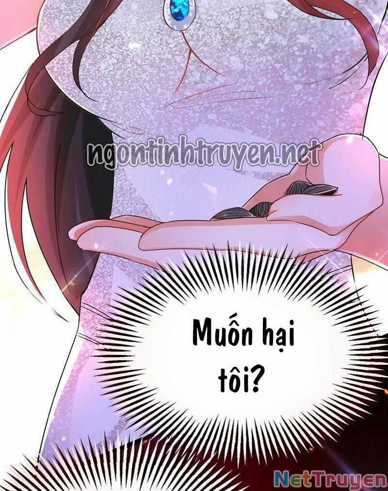 Trùng Sinh Không Gian: Cô Vợ Hào Môn Nóng Bỏng Không Dễ Chọc 44 trang 41