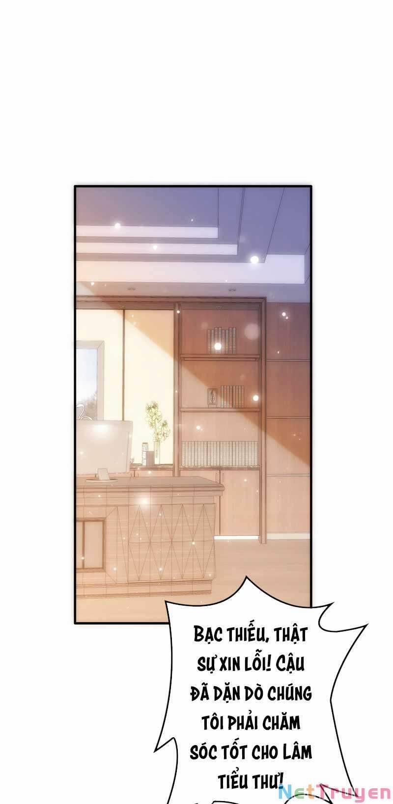 Trùng Sinh Không Gian: Cô Vợ Hào Môn Nóng Bỏng Không Dễ Chọc 48 trang 1