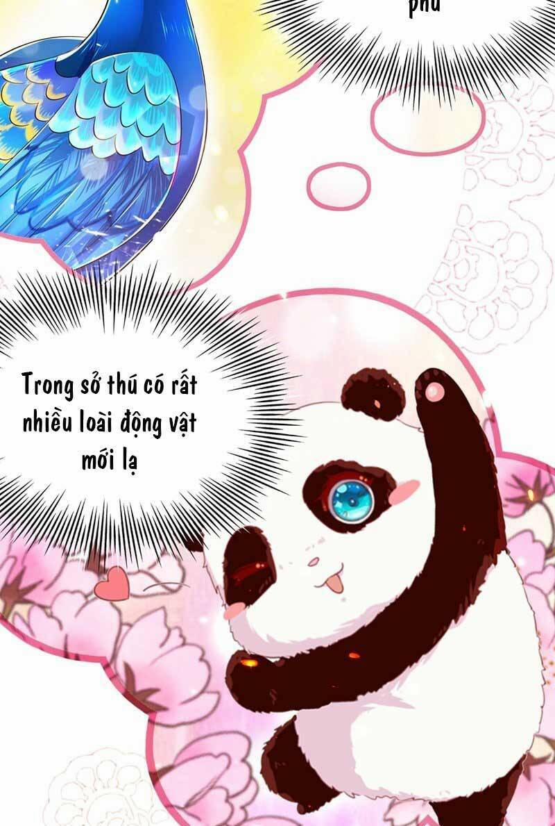 Trùng Sinh Không Gian: Cô Vợ Hào Môn Nóng Bỏng Không Dễ Chọc 54 trang 41