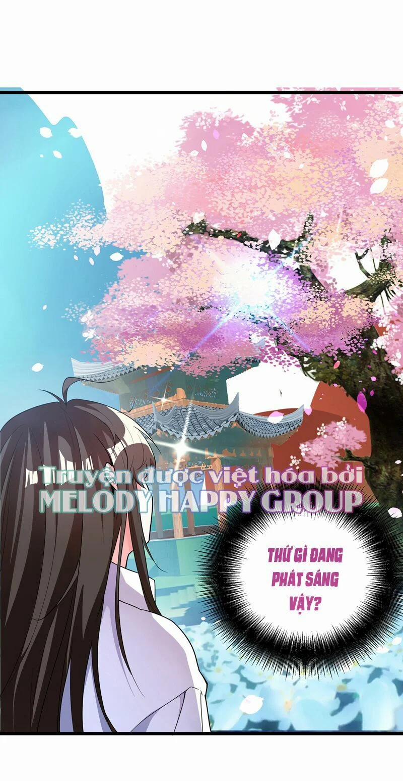 Trùng Sinh Không Gian: Cô Vợ Hào Môn Nóng Bỏng Không Dễ Chọc 6 trang 5