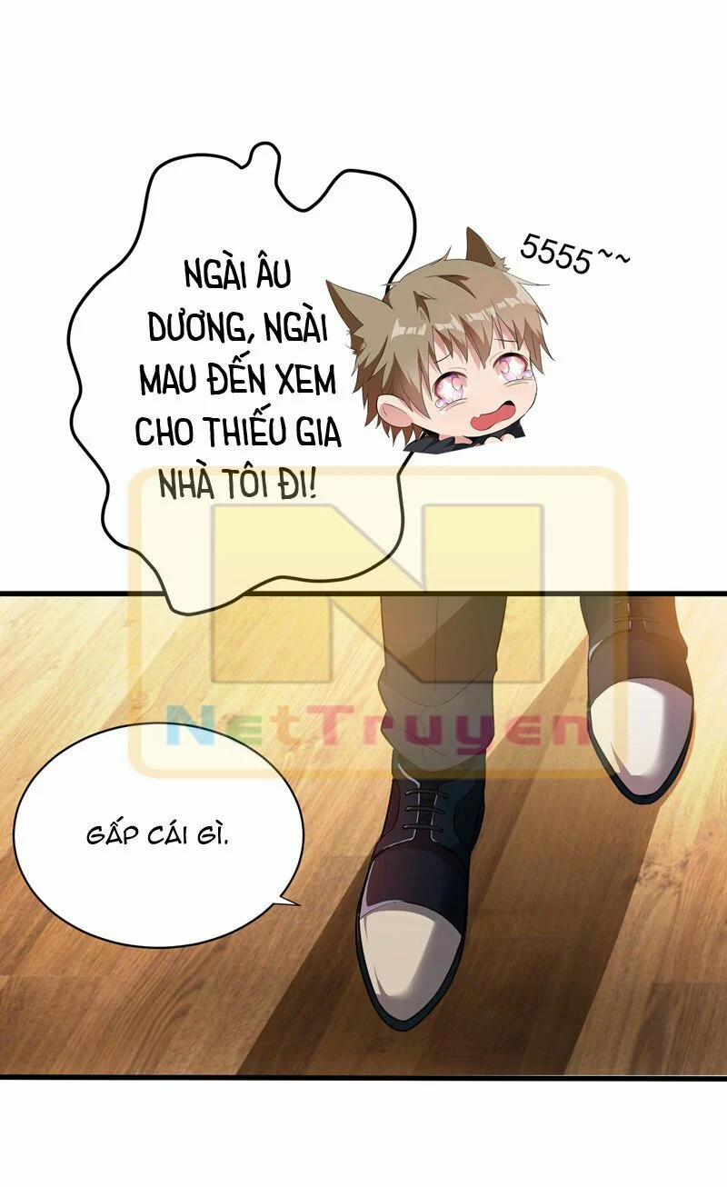 Trùng Sinh Không Gian: Cô Vợ Hào Môn Nóng Bỏng Không Dễ Chọc 7 trang 13