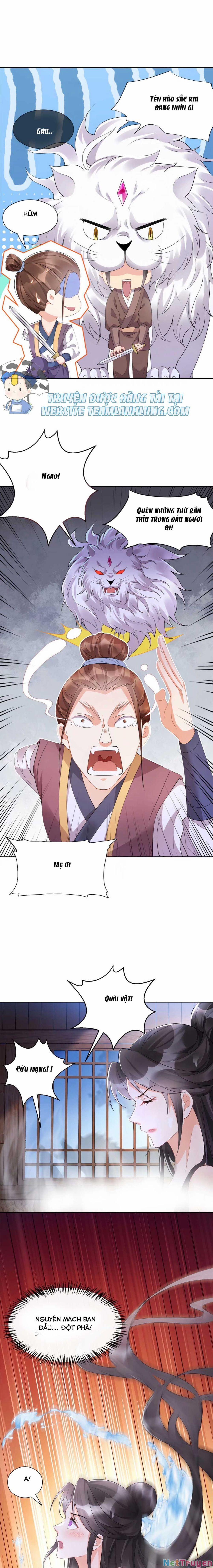 Trùng Sinh Sống Lại ! Các Hoàng Tử Ai Cũng Muốn Cưới Ta ! 10 trang 7