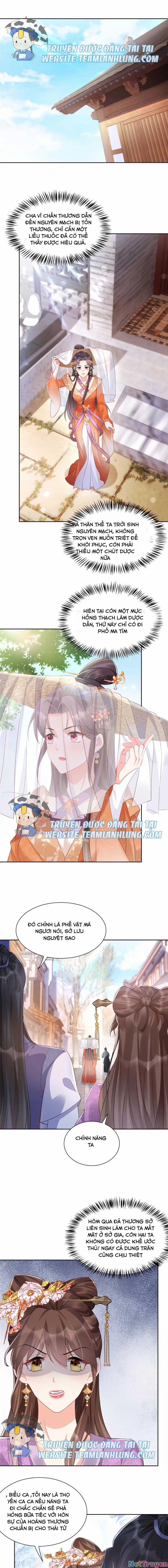 Trùng Sinh Sống Lại ! Các Hoàng Tử Ai Cũng Muốn Cưới Ta ! 12 trang 7