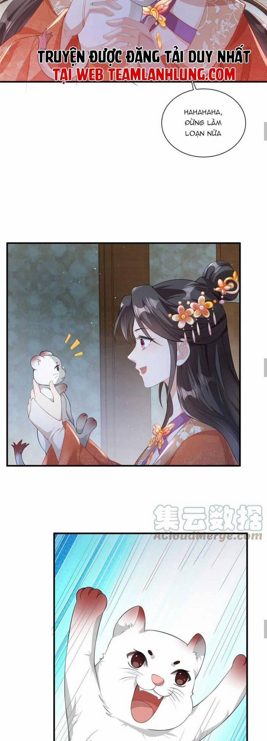 Trùng Sinh Sống Lại ! Các Hoàng Tử Ai Cũng Muốn Cưới Ta ! 53 trang 16