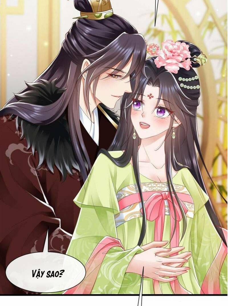 Trùng Sinh Sống Lại ! Các Hoàng Tử Ai Cũng Muốn Cưới Ta ! 67 trang 12