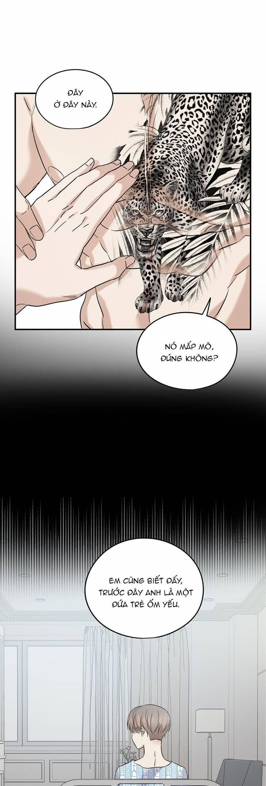 Trước Khi Cái Chết Chia Lìa Đôi Ta 29 trang 0