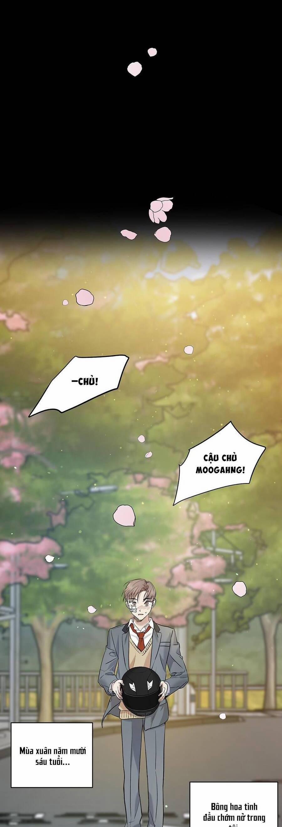 Trước Khi Cái Chết Chia Lìa Đôi Ta 29 trang 10