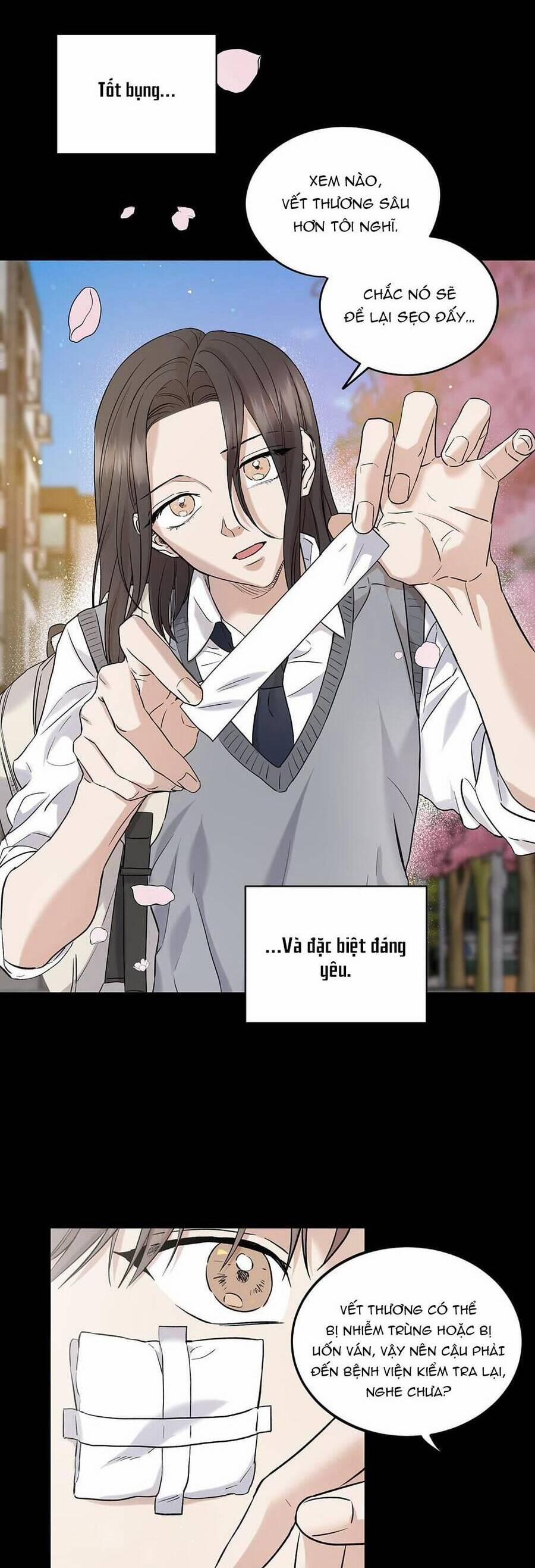 Trước Khi Cái Chết Chia Lìa Đôi Ta 29 trang 8