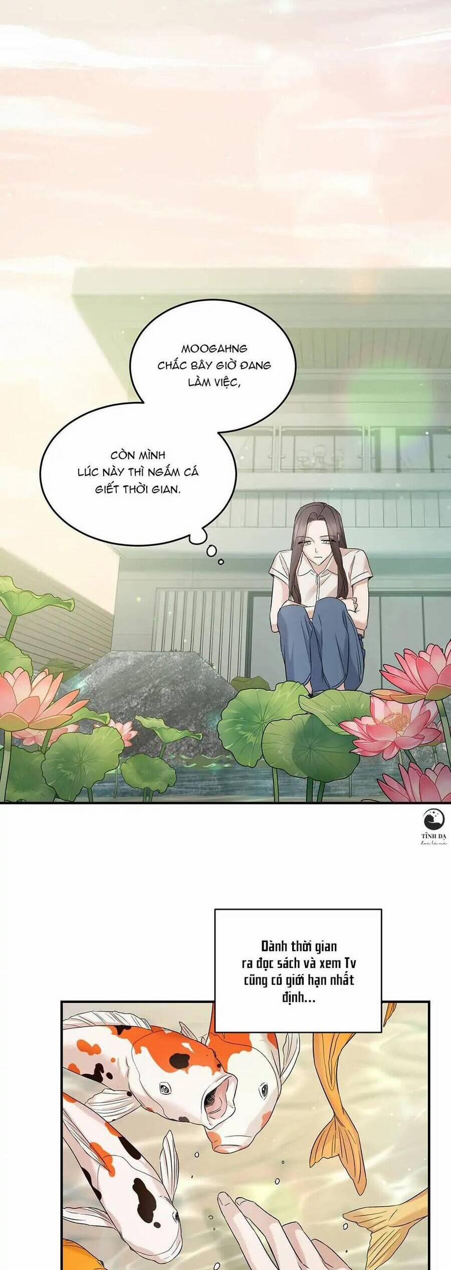 Trước Khi Cái Chết Chia Lìa Đôi Ta 34 trang 4