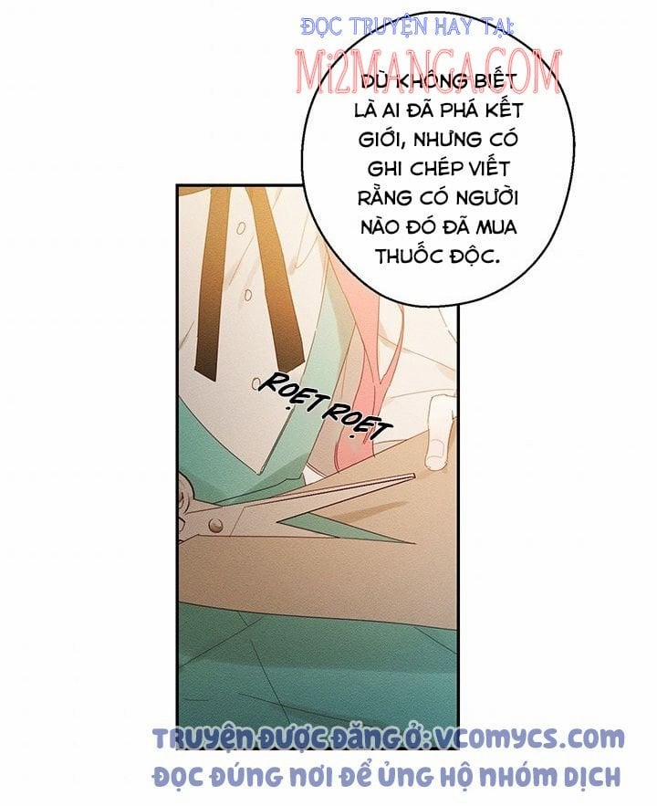 Trước Tiên Phải Giấu Em Trai Tôi Đi Đã 12 trang 6