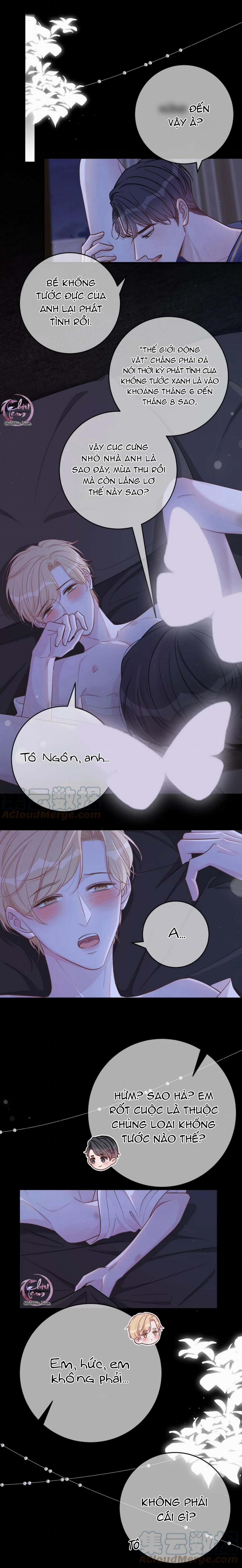 Trước Và Sau Chia Tay 52 trang 5