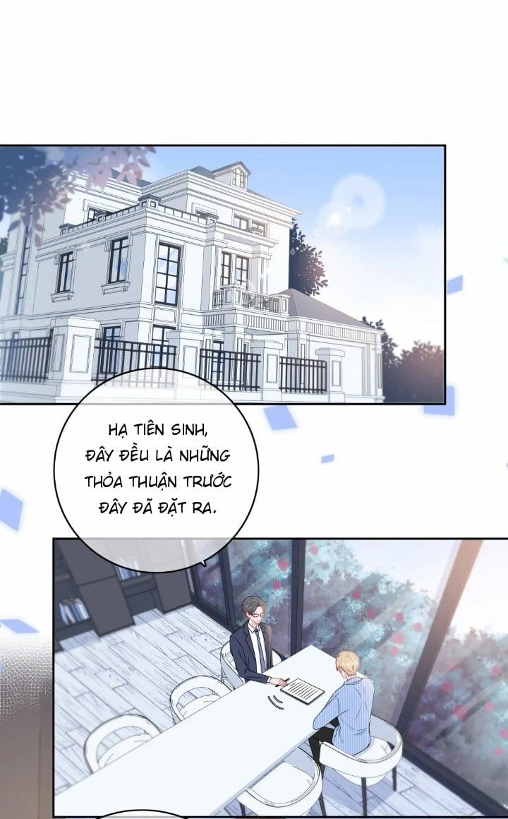 Trước Và Sau Ly Hôn! 1 trang 2