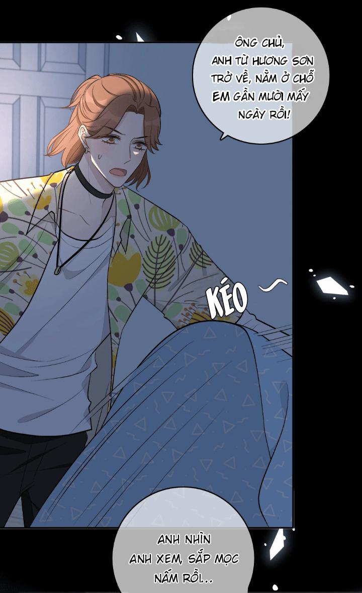 Trước Và Sau Ly Hôn! 4 trang 6