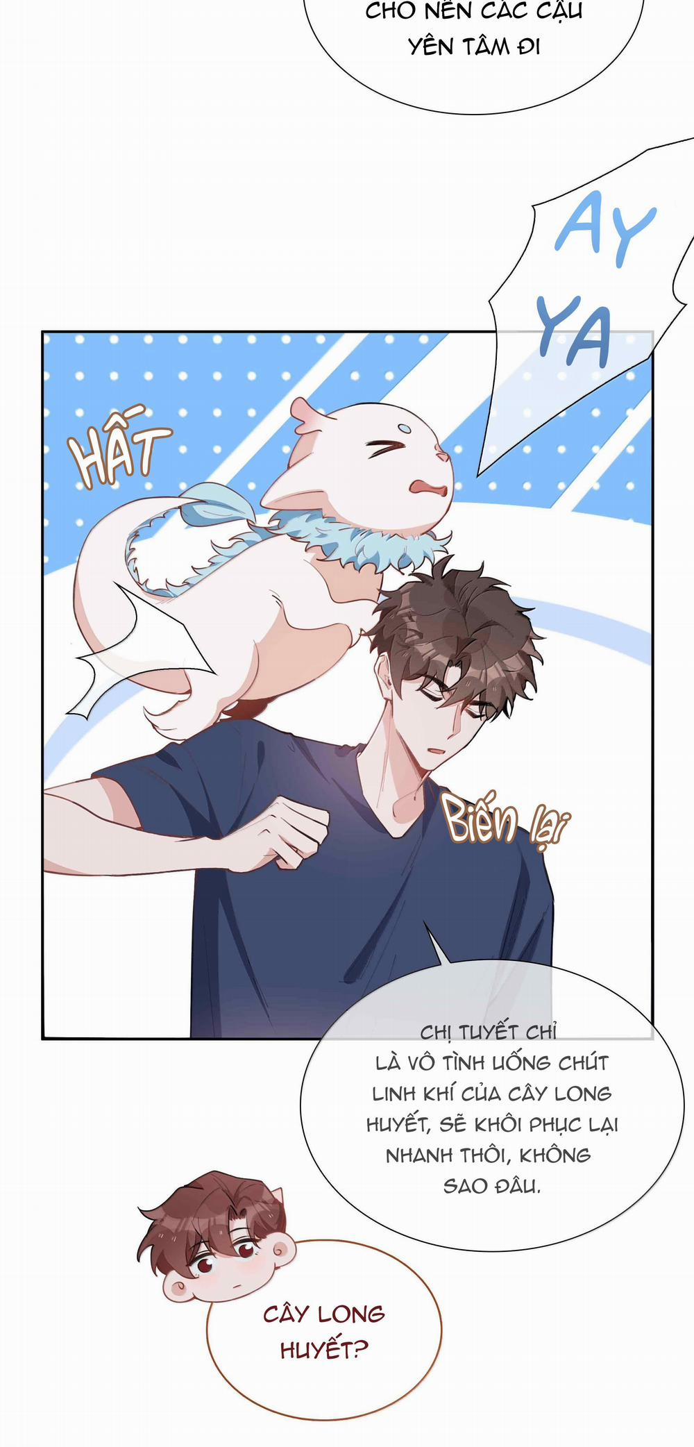 Trường Cấp Ba Sơn Hải 100 trang 11