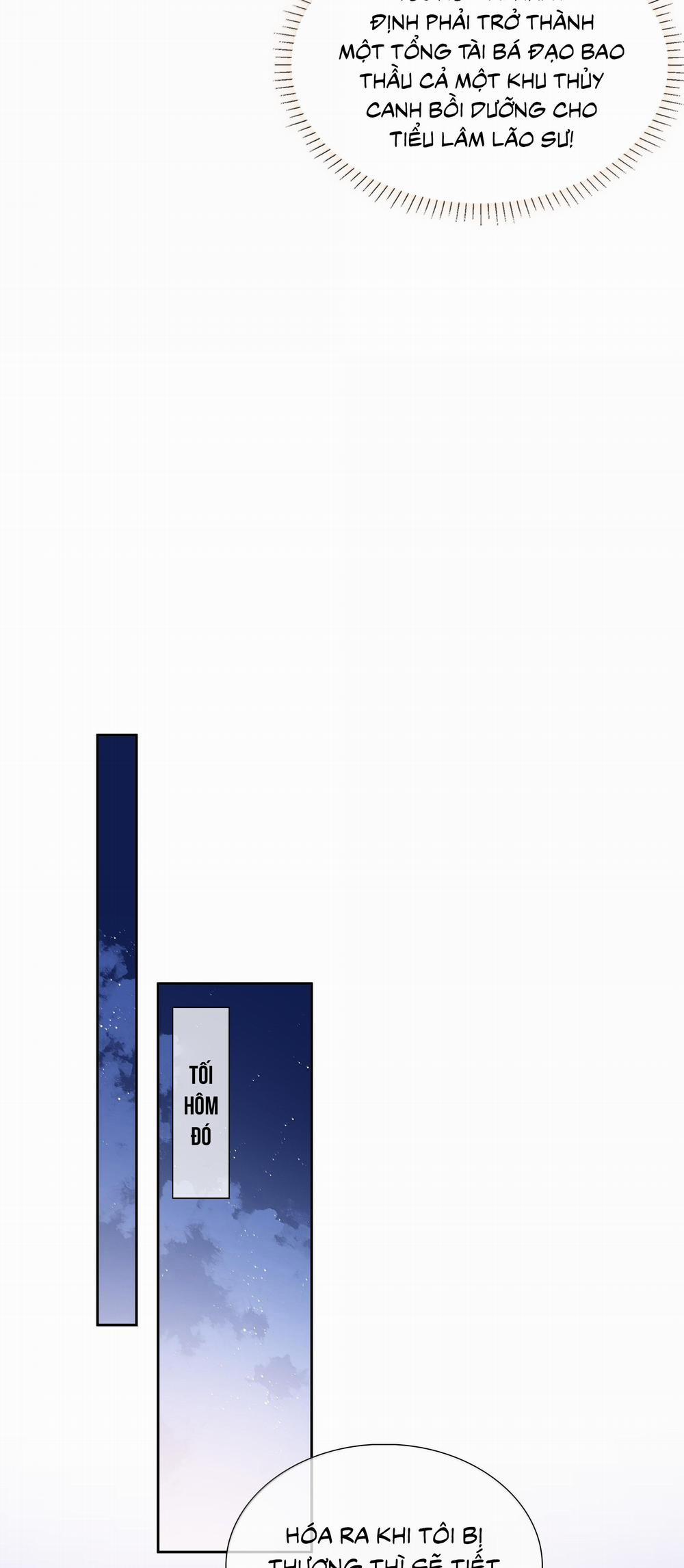 Trường Cấp Ba Sơn Hải 102 trang 11