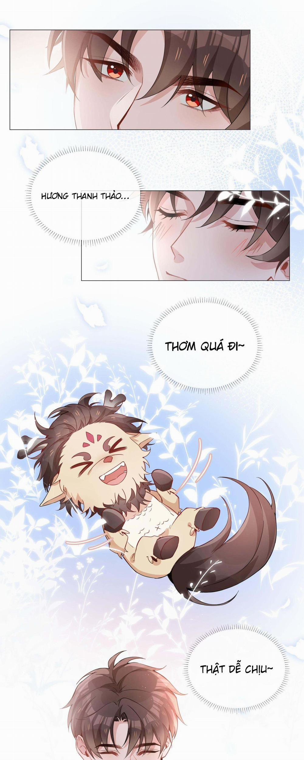 Trường Cấp Ba Sơn Hải 11 trang 1