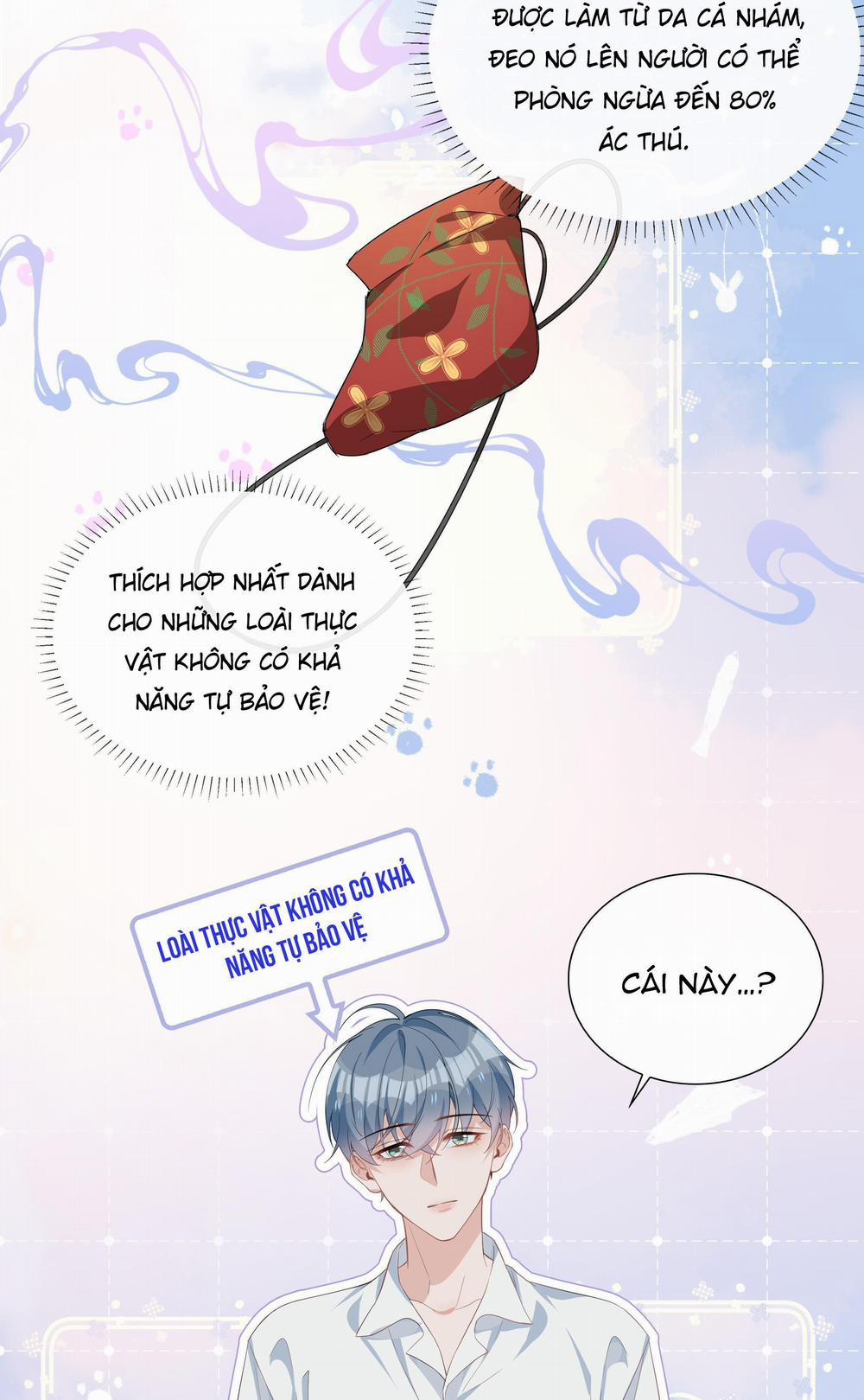 Trường Cấp Ba Sơn Hải 15 trang 15