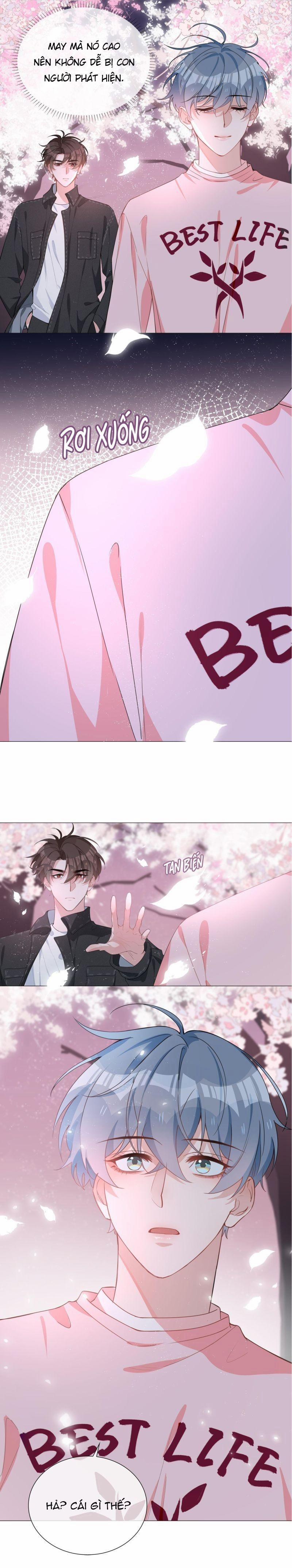 Trường Cấp Ba Sơn Hải 26 trang 4