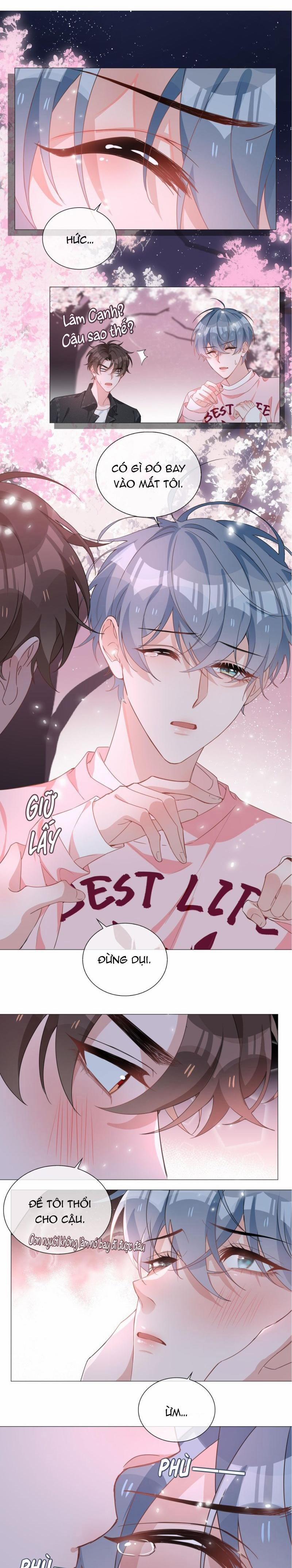 Trường Cấp Ba Sơn Hải 26 trang 5