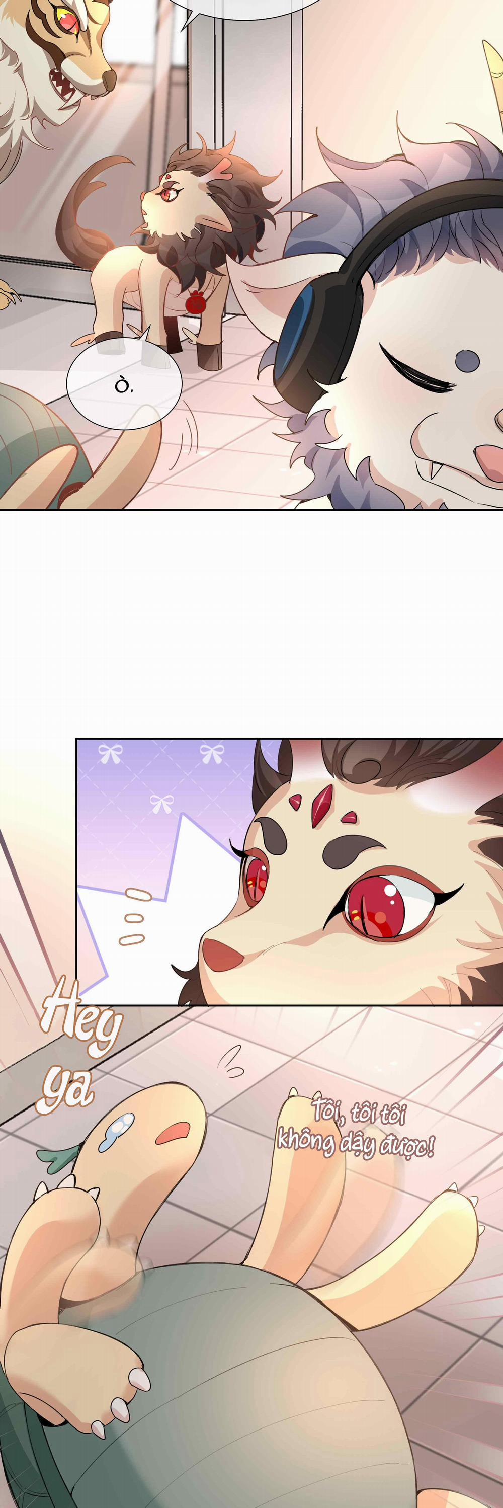 Trường Cấp Ba Sơn Hải 67 trang 13