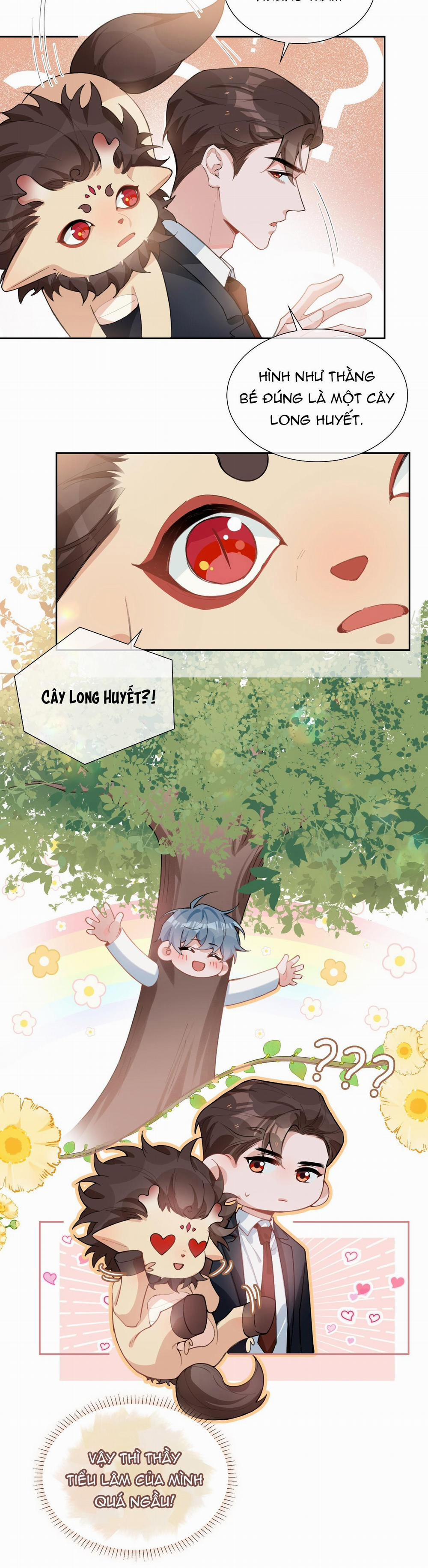 Trường Cấp Ba Sơn Hải 94 trang 10