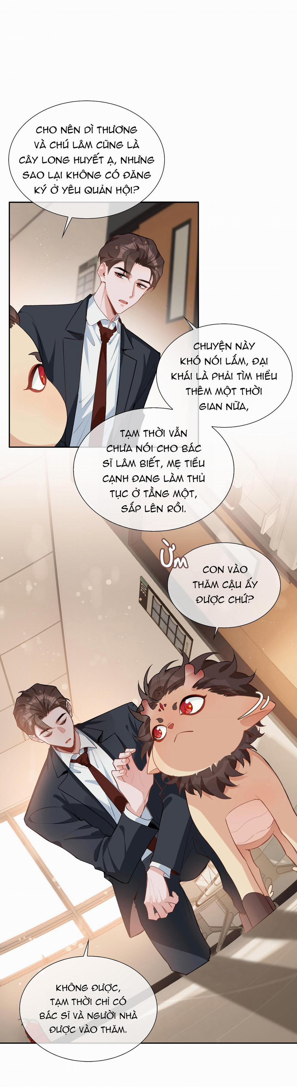 Trường Cấp Ba Sơn Hải 94 trang 11