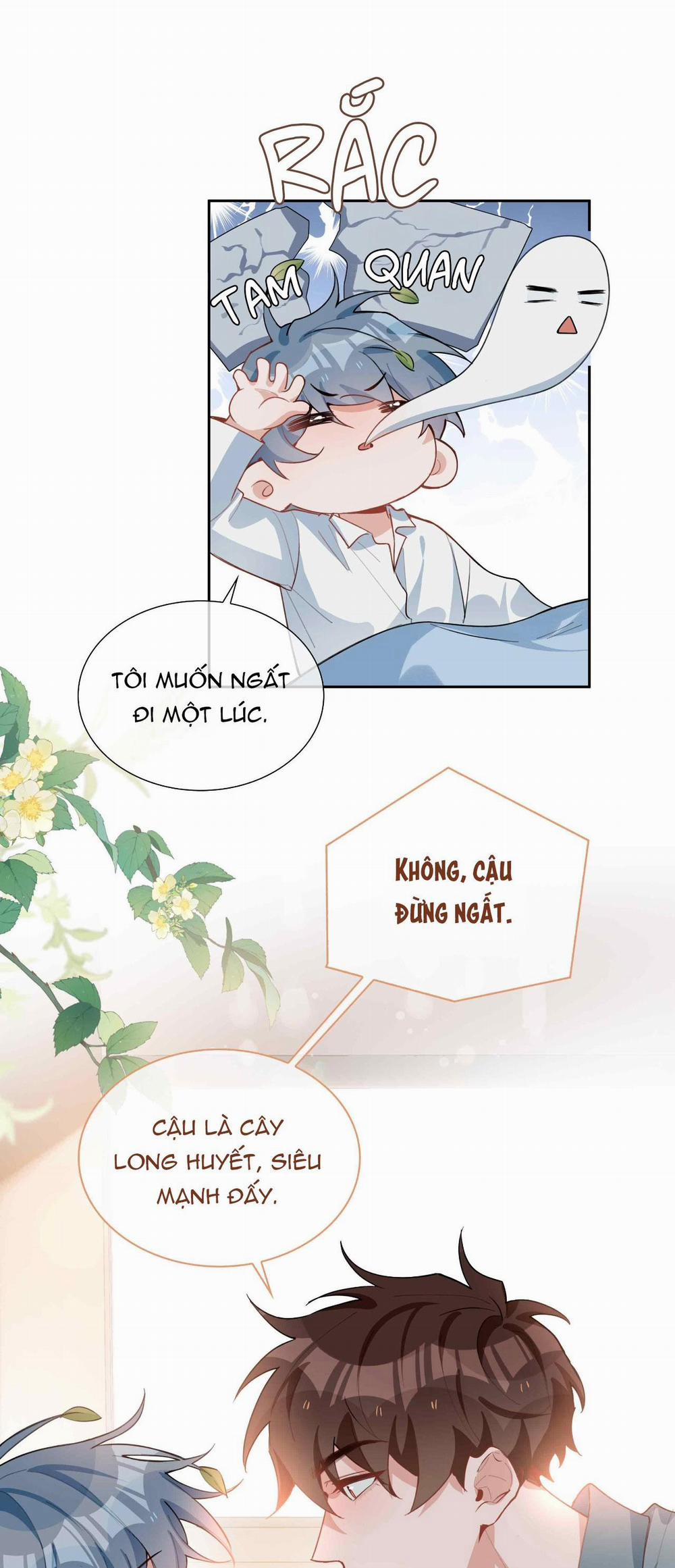 Trường Cấp Ba Sơn Hải 94 trang 16