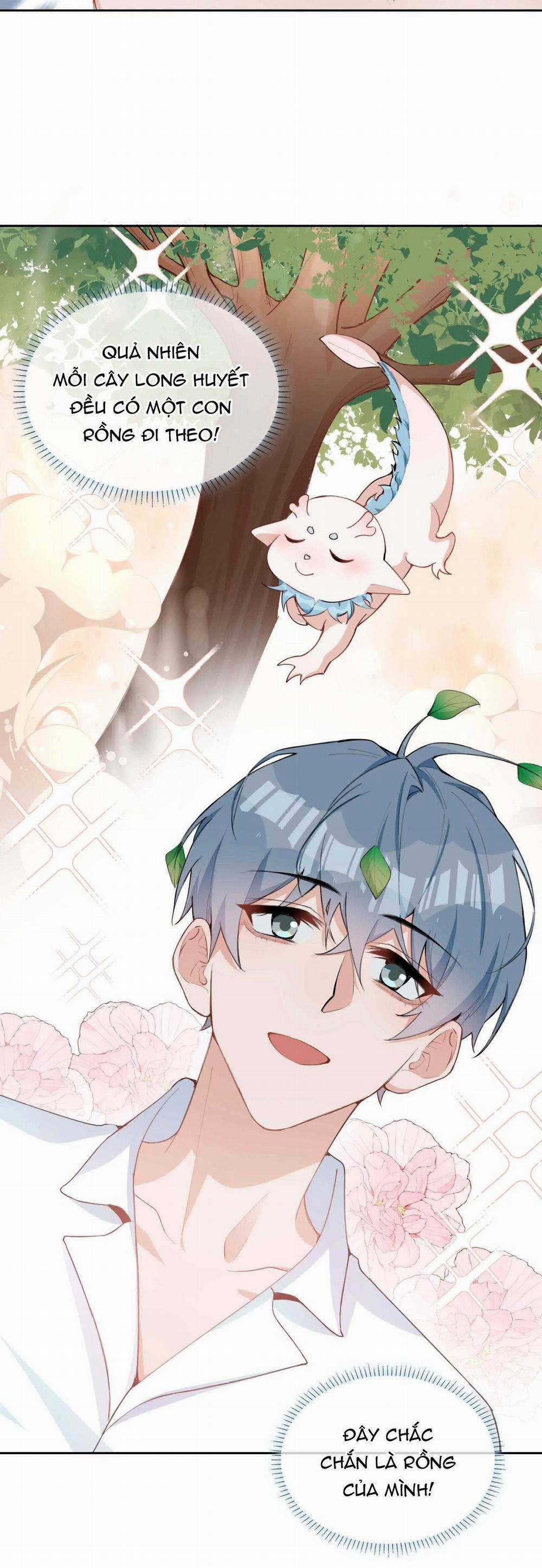 Trường Cấp Ba Sơn Hải 95 trang 7